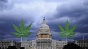 DC decriminalizes marijuana, future complications arise