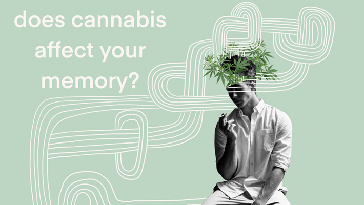 Does Cannabis Affect Your Memory?