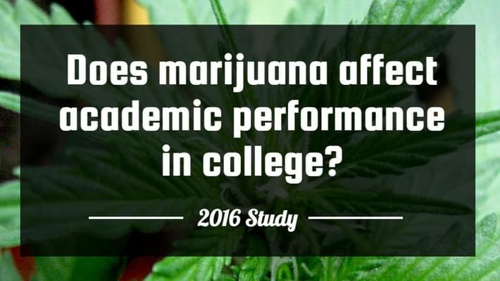 Does marijuana affect academic performance in college?