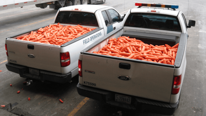 Drug smugglers try to hide 2,500 pounds of marijuana in carrot shipment