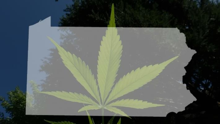 Dry leaf medical marijuana available to Pennsylvanians next week