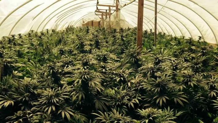 Fairview sued by industrial park for medical marijuana laws