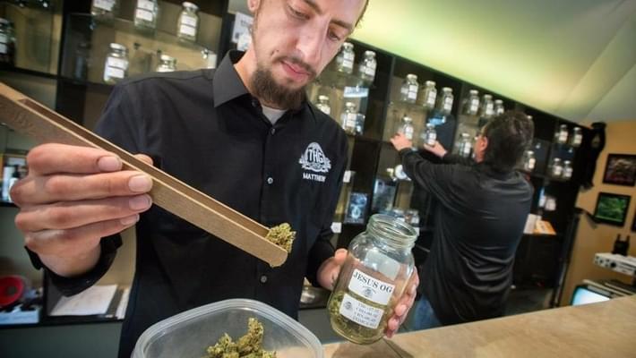 Feds nearing a decision on whether pot has medical potential