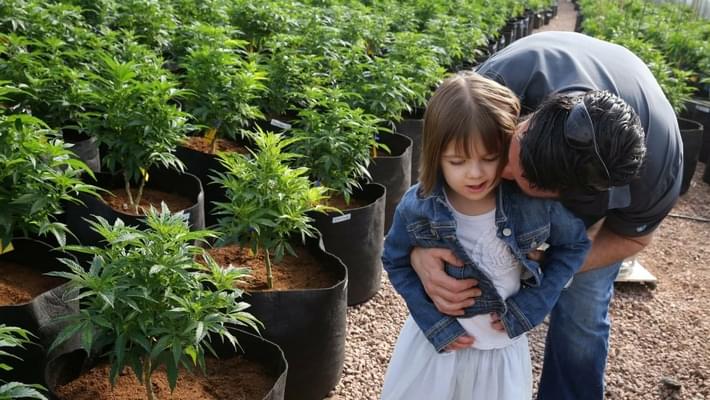 Finally, Some Hard Science on Medical Marijuana for Epilepsy Patients