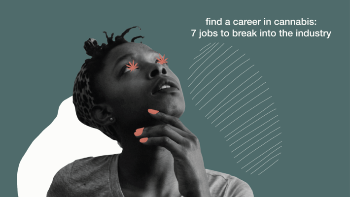 Find a Career in Cannabis: 7 Jobs to Break Into the Industry