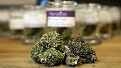 First import license for medical marijuana issued