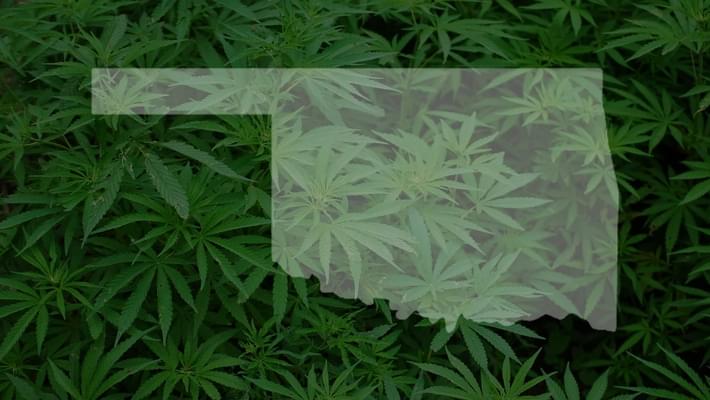 First Legal Oklahoma Medical Marijuana Plant Sold