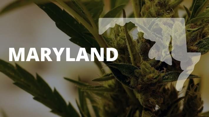 First Maryland medical marijuana grow operation approved