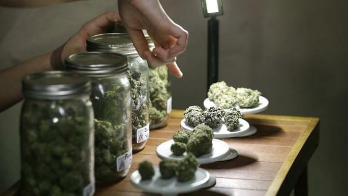 Fla. low-THC medical marijuana law passes major hurdle