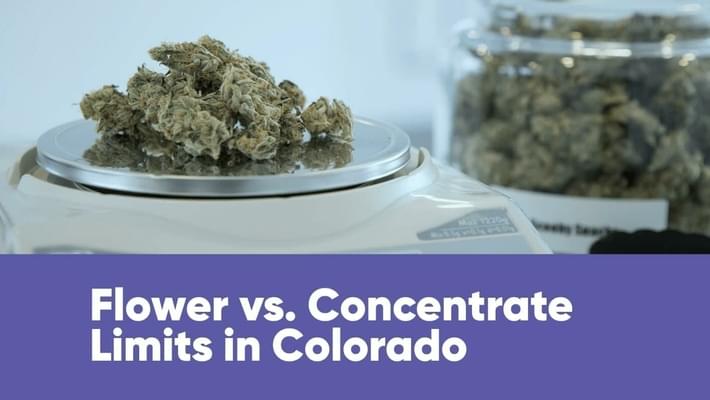 Flower vs. Concentrate Limits in Colorado: Everything You Need to Know