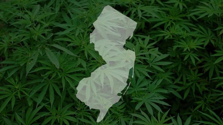 Freehold Township employee entitled to medical marijuana, judge rules