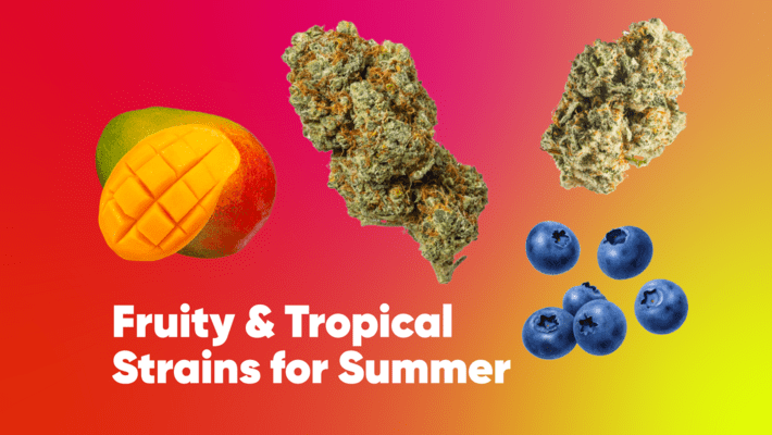 Fruity & Tropical Strains for Summer
