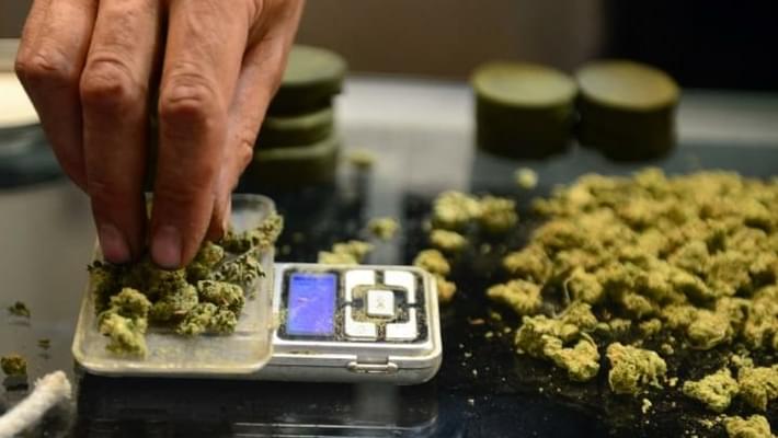 Hackers Cripple Leading Marijuana Sales System