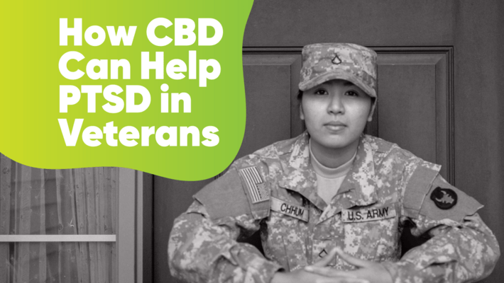 How CBD Can Help PTSD in Veterans