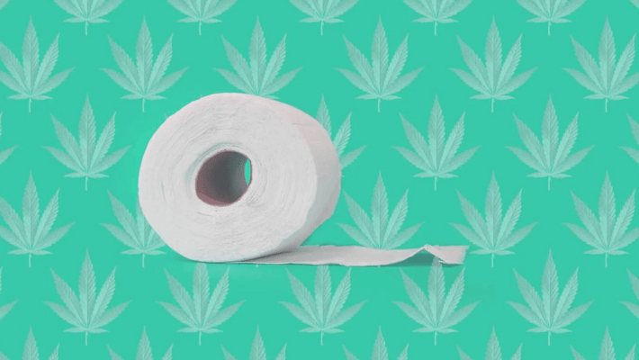 How Does Cannabis Work with My Gut Bacteria?