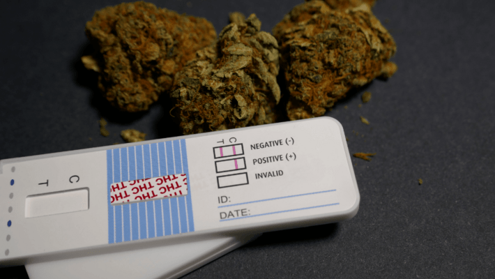 How Long Will Marijuana Stay In Your System?