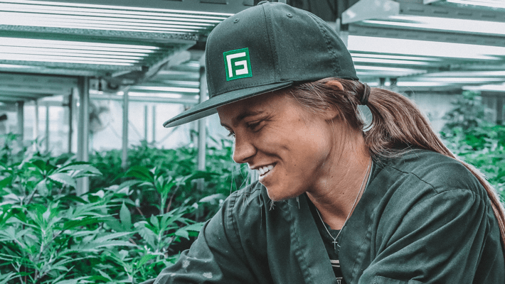 How Many Jobs are Created from Cannabis Legalization?
