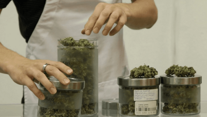 How medical marijuana could literally save lives