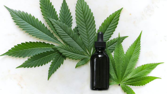 How Should I Consume CBD?