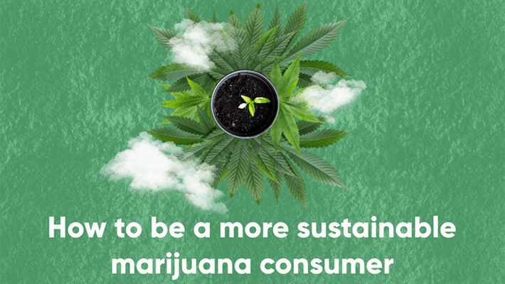 How to Be A More Sustainable Marijuana Consumer