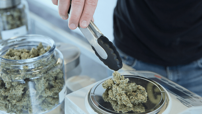 How to Become a Cannabis Budtender