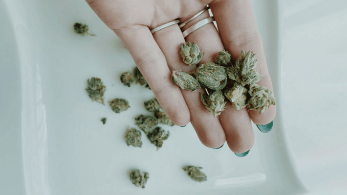 How to Choose and Dose Cannabis Flower