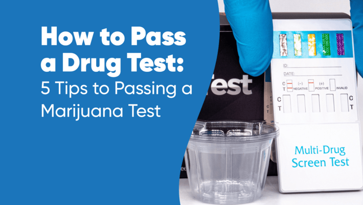 How to Pass a Drug Test: 5 Tips to Passing a Marijuana Test