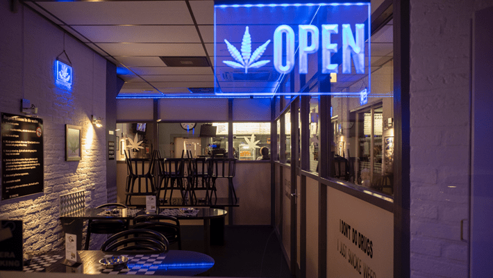 How to Write a Winning Dispensary License Application
