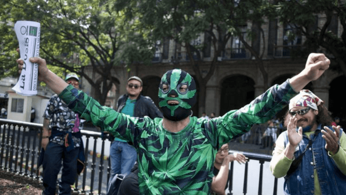 If Mexico legalizes marijuana, what will the U.S. do?