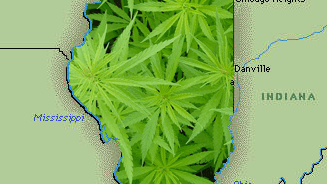 Illinois could be the next state to institute medical marijuana