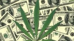 Illinois Investors Jump into Marijuana Business