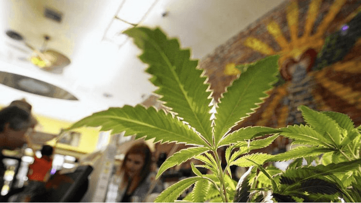 Illinois on same path as other states on pot legalization