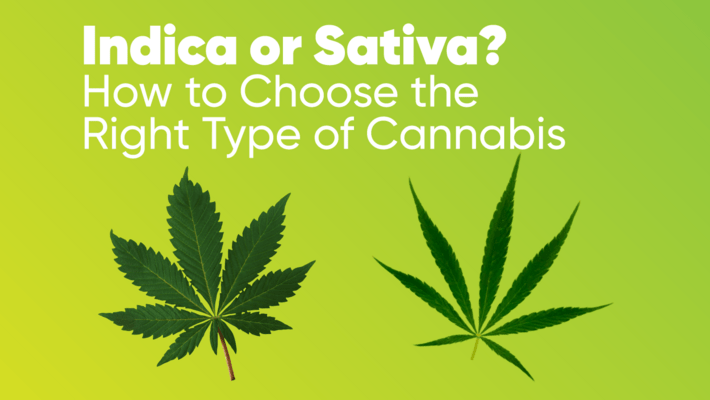 Indica or Sativa? How to Choose the Right Type of Cannabis