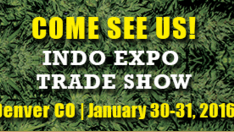 Indo Expo Trade Show Job Fair