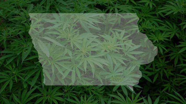 Iowa should fix medical marijuana law