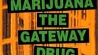 Is Marijuana a Gateway Drug?
