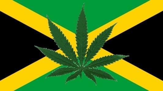 Jamaica Government Pushes to Gain a Piece of the Medical Marijuana Industry