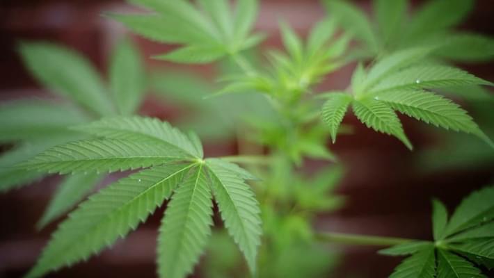 John Kasich Signs Bill Legalizing Medical Marijuana in Ohio