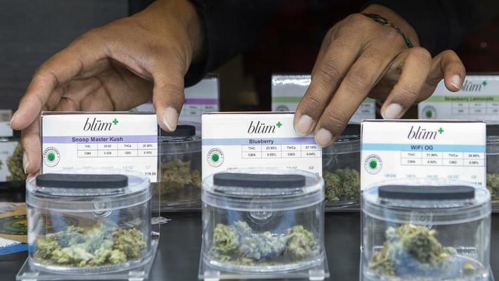 Las Vegas considers changes to medical marijuana laws