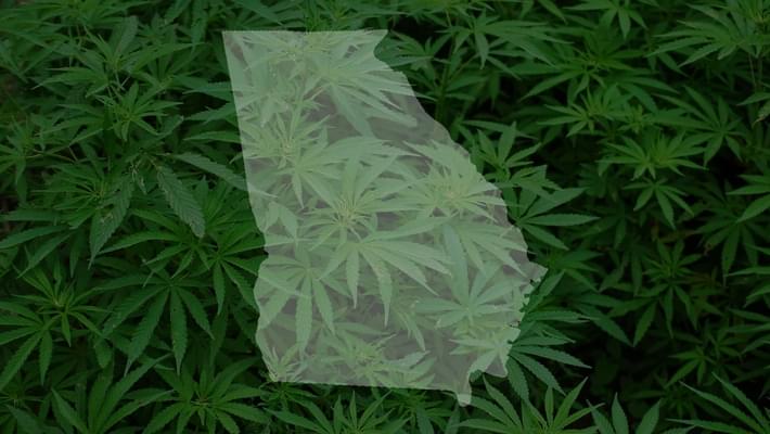 Lawmaker introduces bill to legalize recreational marijuana in Georgia