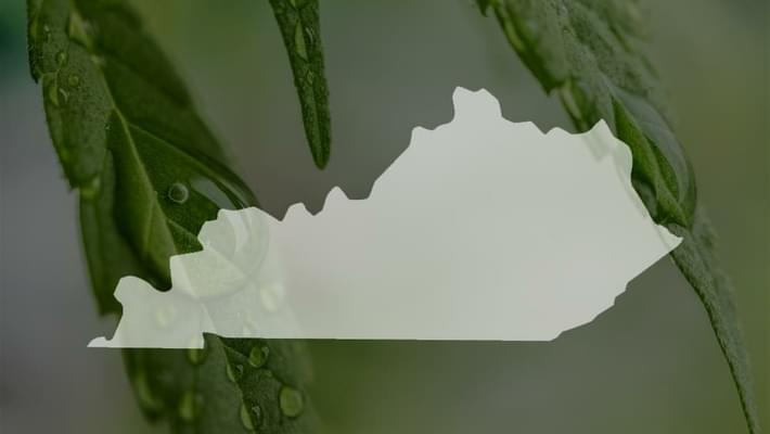 Lawsuit challenges Kentucky's medical marijuana ban