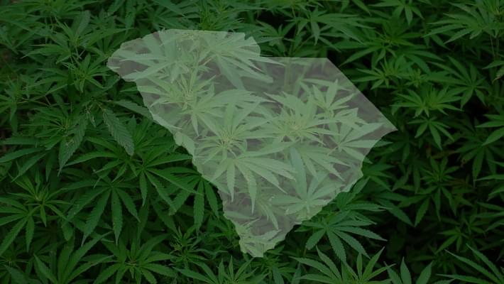 Legal Medical Marijuana In South Carolina Is Closer Than Ever