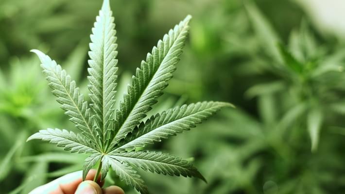 Legislature passes recreational marijuana reform bill