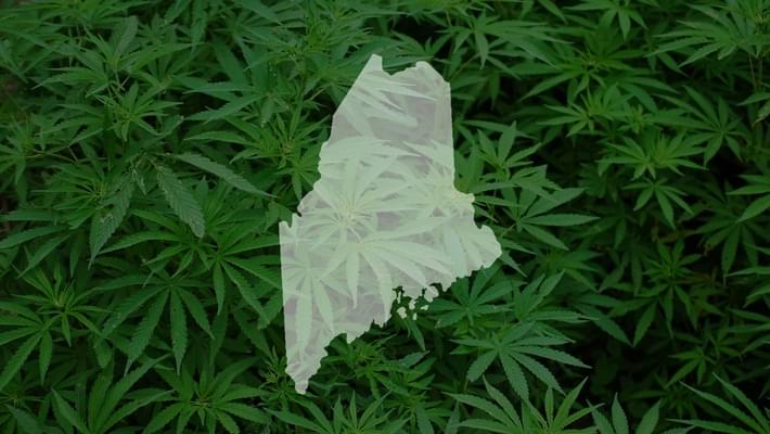Maine Lawmakers Approve Sweeping Medical Marijuana Overhaul