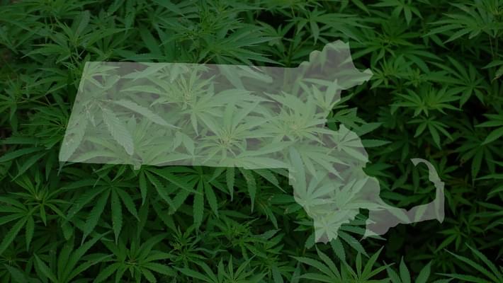 Marijuana â€˜clubsâ€™ could be coming to Massachusetts