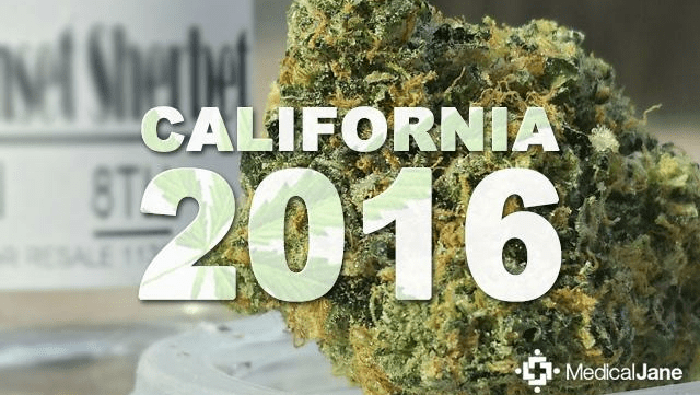 Marijuana legalization in California: ACLU-Gavin Newsom panel releases road map on the issues