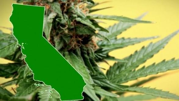Marijuana Legalized In Massachusetts: What Happens Next