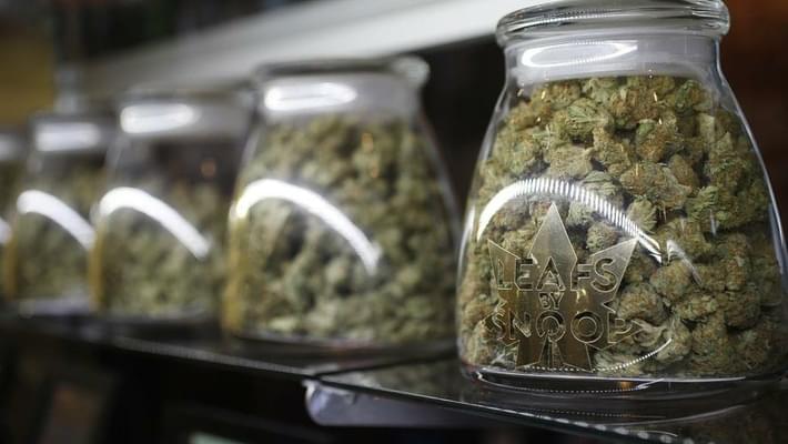 Marijuana opponents abandon plans for pot potency limits in Colorado