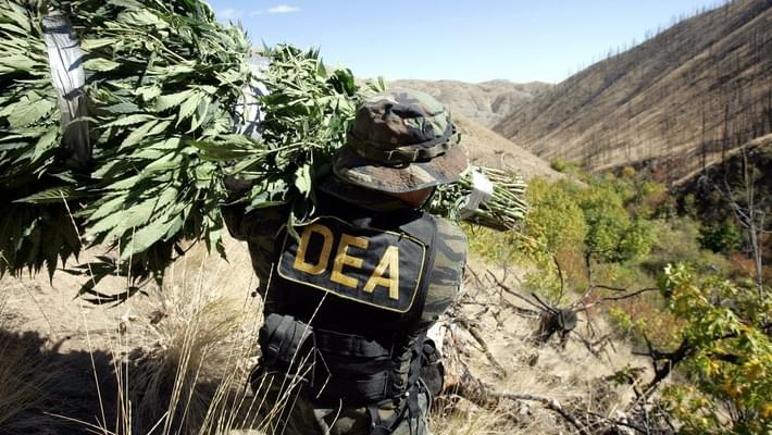 Marijuana Reform Activists Push for Change with DEA Head