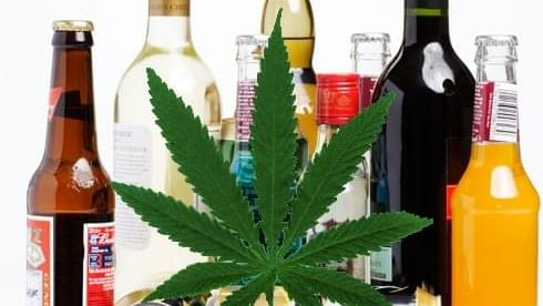 Marijuana to be Regulated Like Alcohol? 